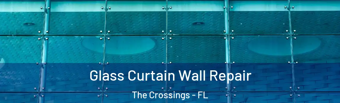  Glass Curtain Wall Repair The Crossings - FL