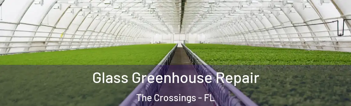  Glass Greenhouse Repair The Crossings - FL