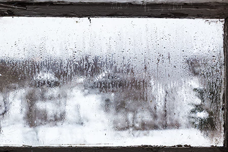 Defogging Double Pane Windows in The Crossings, FL